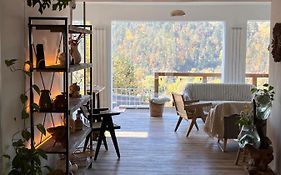 Shard Guest House